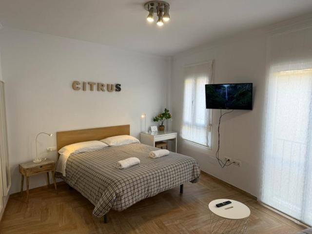 Citrus Suite By Alhaurin Loft City Center アラウリン・デ・ラ・トレ エクステリア 写真